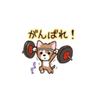 チワワ のゆうくん（個別スタンプ：14）