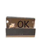きんくまのあんみつ（個別スタンプ：5）