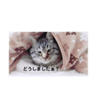 ルキヤの気持ち（個別スタンプ：5）