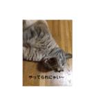 ルキヤの気持ち（個別スタンプ：7）