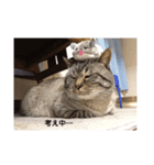 ルキヤの気持ち（個別スタンプ：8）