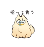 食い意地のはった犬（個別スタンプ：1）