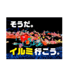 わんこと少しのイルミ（個別スタンプ：4）