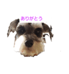 箱入りあず（個別スタンプ：4）