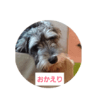 箱入りあず（個別スタンプ：5）