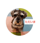 箱入りあず（個別スタンプ：6）