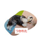 箱入りあず（個別スタンプ：7）