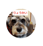 箱入りあず（個別スタンプ：8）