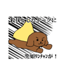 ぺろわんちゃんスタンプ！（個別スタンプ：6）