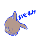 うさぎとどうぶつとせいかつ（個別スタンプ：2）