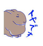うさぎとどうぶつとせいかつ（個別スタンプ：7）