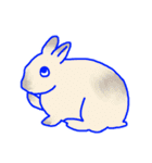 うさぎとどうぶつとせいかつ（個別スタンプ：13）