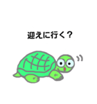 カメのかめひろ（個別スタンプ：6）