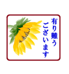 絵手紙風、花と敬語（個別スタンプ：1）