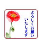 絵手紙風、花と敬語（個別スタンプ：6）