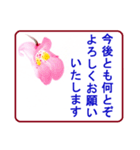 絵手紙風、花と敬語（個別スタンプ：15）