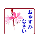 絵手紙風、花と敬語（個別スタンプ：16）
