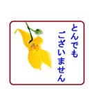絵手紙風、花と敬語（個別スタンプ：17）