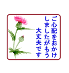 絵手紙風、花と敬語（個別スタンプ：19）
