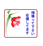 絵手紙風、花と敬語（個別スタンプ：20）