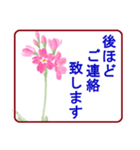 絵手紙風、花と敬語（個別スタンプ：24）