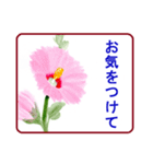 絵手紙風、花と敬語（個別スタンプ：26）