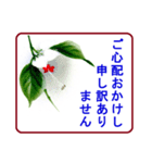 絵手紙風、花と敬語（個別スタンプ：28）