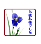 絵手紙風、花と敬語（個別スタンプ：32）