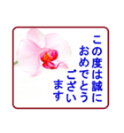 絵手紙風、花と敬語（個別スタンプ：33）