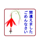 絵手紙風、花と敬語（個別スタンプ：34）