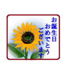絵手紙風、花と敬語（個別スタンプ：36）