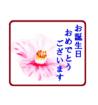 絵手紙風、花と敬語（個別スタンプ：37）