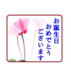 絵手紙風、花と敬語（個別スタンプ：38）