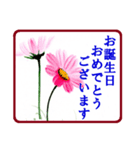 絵手紙風、花と敬語（個別スタンプ：39）