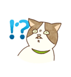 ビビリ猫スタンプ（個別スタンプ：1）