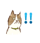 ビビリ猫スタンプ（個別スタンプ：3）