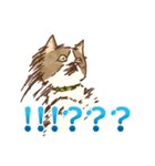 ビビリ猫スタンプ（個別スタンプ：5）