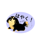 リアルな感じの わんわんスタンプ（個別スタンプ：3）