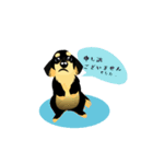 リアルな感じの わんわんスタンプ（個別スタンプ：7）