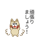 挨拶猫です♬（個別スタンプ：5）