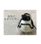 関西弁な動物（個別スタンプ：8）