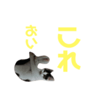 クマとチビ（個別スタンプ：7）