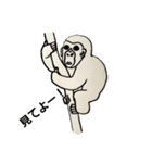 可愛いゴリラくん（個別スタンプ：4）