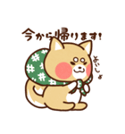 コロスケの日常で使えるスタンプ♪（個別スタンプ：9）