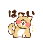 コロスケの日常で使えるスタンプ♪（個別スタンプ：18）