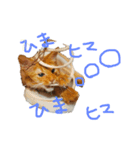 おソラさんの日時（個別スタンプ：3）