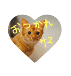 おソラさんの日時（個別スタンプ：8）