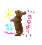 むぎときなこ（個別スタンプ：1）