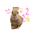 むぎときなこ（個別スタンプ：3）