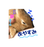 むぎときなこ（個別スタンプ：4）